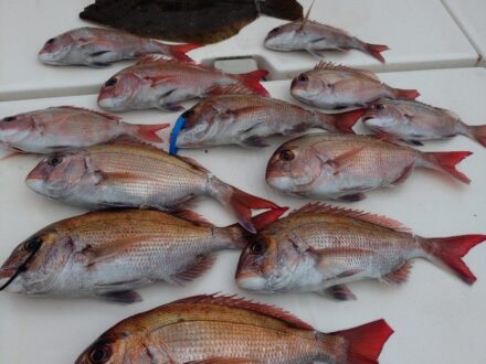6月24日鯛ラバチャーター1日便5名様の釣果です