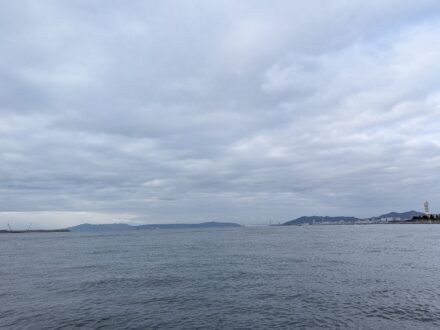 1月26日近海アジ半日便チャーター1名様