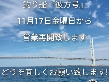 2023年11月17日金曜日から釣り船『彼方号』の営業再開が決定致しました