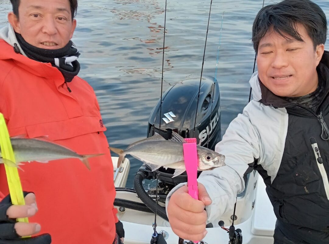 2024年2月11日鯛ラバ、アジサビキチャーター1日便5名様の釣果です。