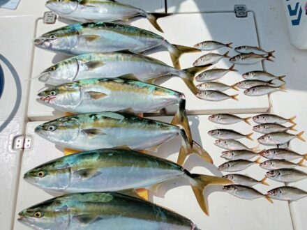 2024年7月23日ノマセチャーター1日便3名様の釣果です