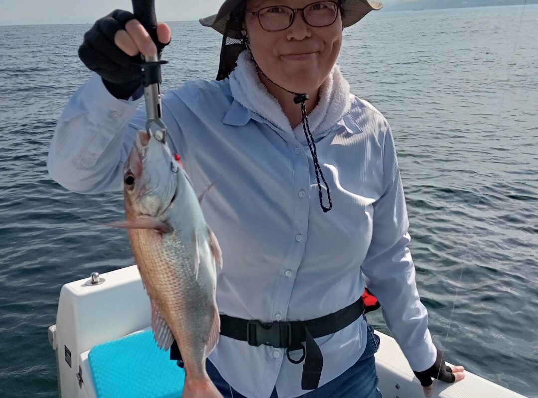 2024年7月31日鯛ラバチャーター午後便4名様の釣果です