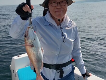 2024年7月31日鯛ラバチャーター午後便4名様の釣果です