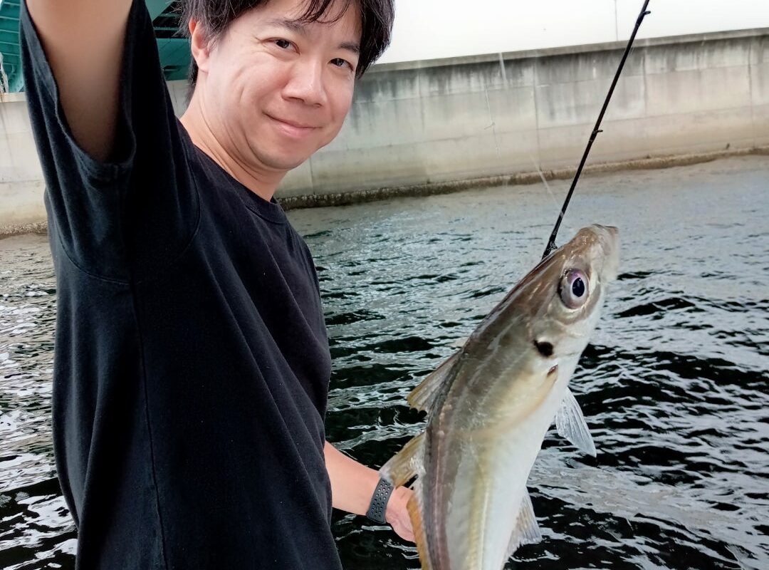 2024年9月28日鯛ラバ、アジサビキチャーター1日便4名様の釣果です
