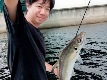 2024年9月28日鯛ラバ、アジサビキチャーター1日便4名様の釣果です