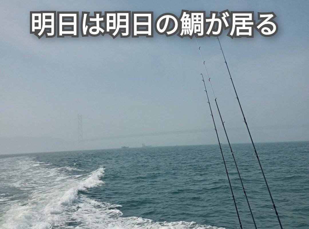 3月1日鯛ラバ乗合1日便5名様の釣果です