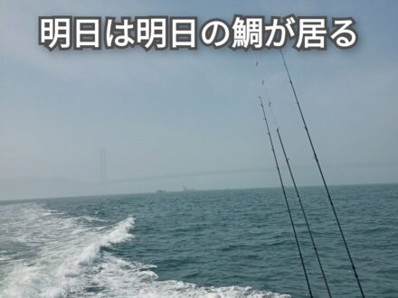 3月1日鯛ラバ乗合1日便5名様の釣果です