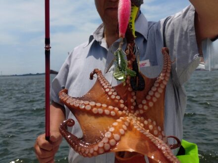 6月21日近海アジタコチャーター1日便６名様の釣果です