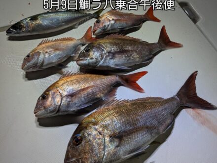 月9日鯛ラバ乗合午後便4名様真鯛5（〜57cm