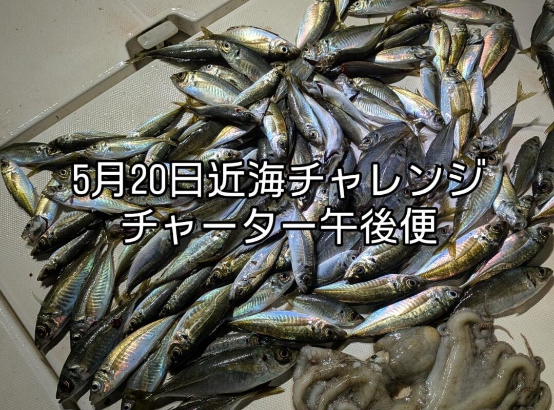 “5月20日近海チャーター午後便5名様”
