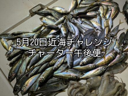 “5月20日近海チャーター午後便5名様”