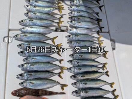 5月26日キャスティング+鯛ラバチャーター1日便4名様