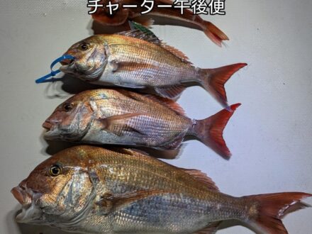 5月30日鯛ラバチャーター午後便4名様