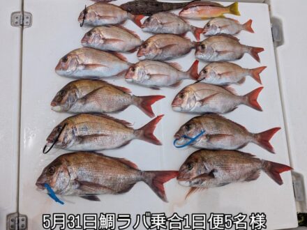 5月31日鯛ラバ乗合1日便、5名様