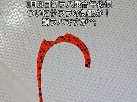 6月13日鯛ラバ乗合午後便5名様