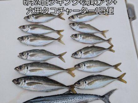 6月24日ジギング+海峡アジ+六甲タコチャーター1日便4名様