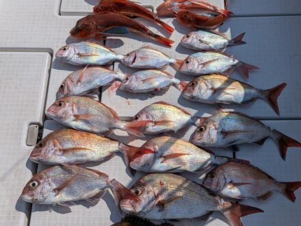 7月19日鯛ラバチャーターロング便