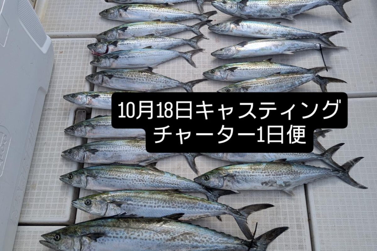 10月18日キャスティングチャーター1日便